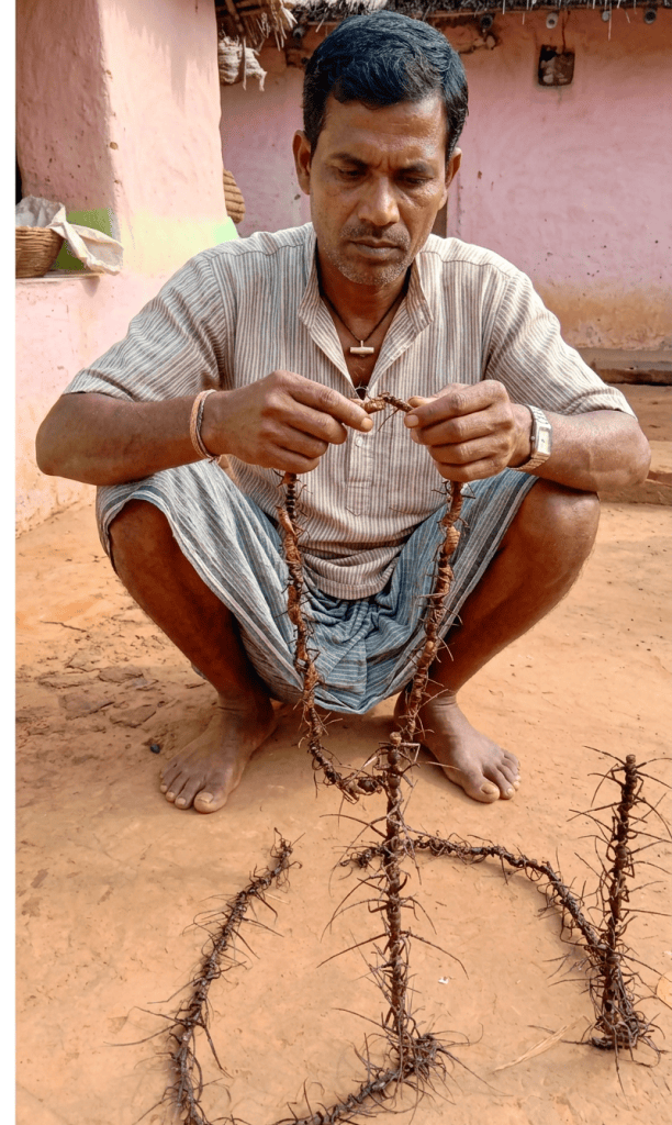 Handcrafted thorn garland in rural courtyard Man holding a long thorn-covered garland in a rural courtyard